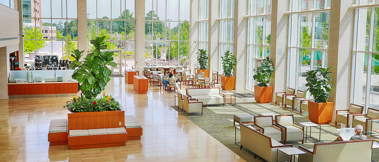 North Tower lobby with seating, plants, and floor-to-ceiling windows letting in lots of sunshine.