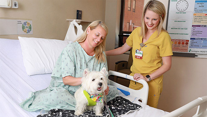 A patient petting a dog while she rests in a hospital bed. A smiling nurse stands next to the hospital bed.